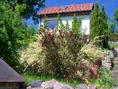 Maison de vacances /en/au Krakow am See  (Mecklenburgische Seenplatte)ou appartement ou maison de vacances