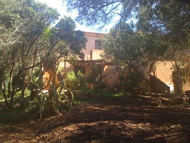 Maison de vacances �/en/au Porto Vecchio (Corse-du-Sud)ou appartement ou maison de vacances