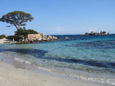 Maison de vacances �/en/au Porto Vecchio (Corse-du-Sud)ou appartement ou maison de vacances