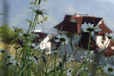 Maison de vacances �/en/au Rakhiv (Zakarpats