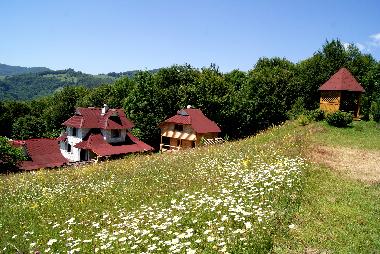 Maison de vacances �/en/au Rakhiv (Zakarpats