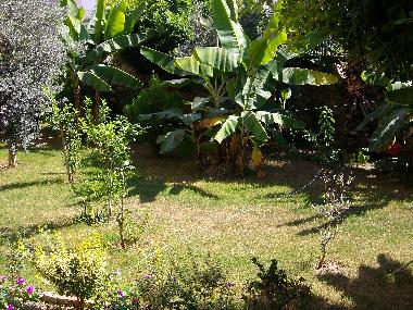 Appartement de vacances �/en/au Alanya (Antalya)ou appartement ou maison de vacances