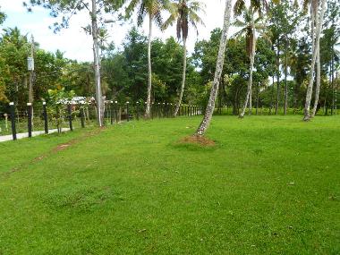 Chambre avec petit d�jeuner �/en/au S�nchez  (Samana)ou appartement ou maison de vacances