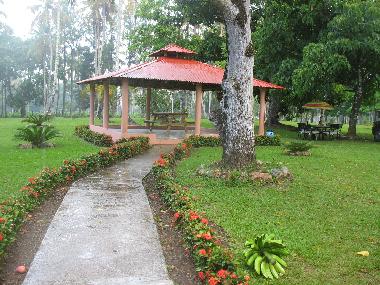 Chambre avec petit d�jeuner �/en/au S�nchez  (Samana)ou appartement ou maison de vacances