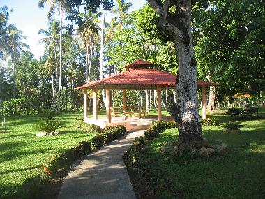 Chambre avec petit d�jeuner �/en/au S�nchez  (Samana)ou appartement ou maison de vacances