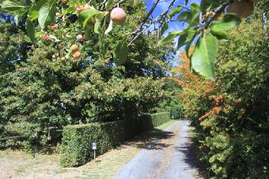 Appartement de vacances /en/au Near Lautrec (Tarn)ou appartement ou maison de vacances