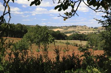 Appartement de vacances /en/au Near Lautrec (Tarn)ou appartement ou maison de vacances