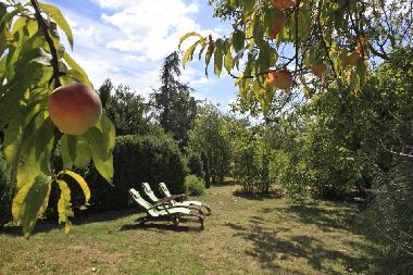 Appartement de vacances /en/au Near Lautrec (Tarn)ou appartement ou maison de vacances