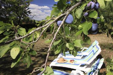 Appartement de vacances /en/au Near Lautrec (Tarn)ou appartement ou maison de vacances