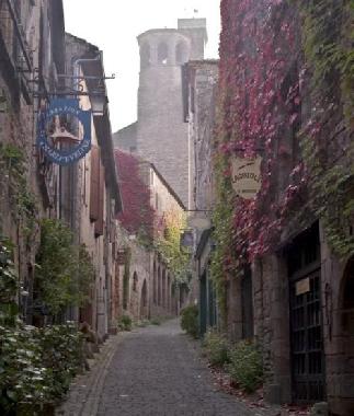 Appartement de vacances /en/au Near Lautrec (Tarn)ou appartement ou maison de vacances