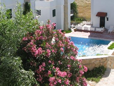 Villa /en/au Ildir (Izmir)ou appartement ou maison de vacances