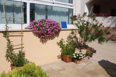 Appartement de vacances /en/au Mandre (Zadarska)ou appartement ou maison de vacances