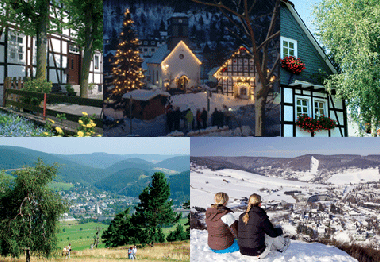 Appartement de vacances /en/au Willingen/Upland - Komfort-Fewo im Stryck**** (Sauerland)ou appartement ou maison de vacances