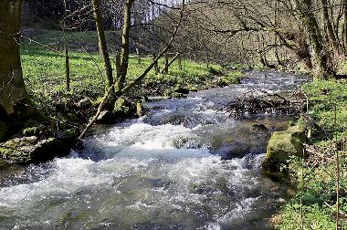 Appartement de vacances /en/au Willingen/Upland - Komfort-Fewo im Stryck**** (Sauerland)ou appartement ou maison de vacances