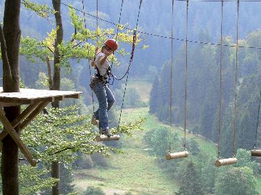 Appartement de vacances /en/au Willingen/Upland - Komfort-Fewo im Stryck**** (Sauerland)ou appartement ou maison de vacances