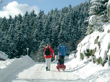 Appartement de vacances /en/au Willingen/Upland - Komfort-Fewo im Stryck**** (Sauerland)ou appartement ou maison de vacances