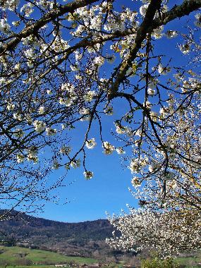 Maison de vacances �/en/au Puivert (Aude)ou appartement ou maison de vacances