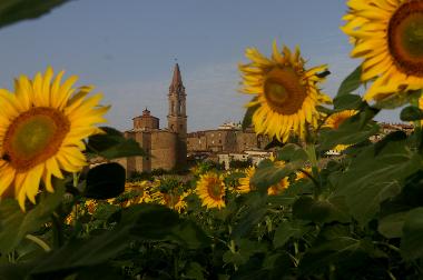 Maison de vacances �/en/au Pieve di Chio (Arezzo)ou appartement ou maison de vacances