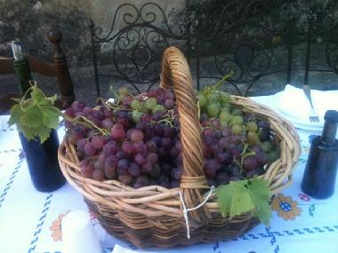 Appartement de vacances /en/au Lucca (Lucca)ou appartement ou maison de vacances