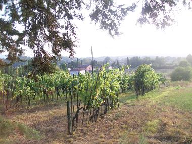 Appartement de vacances /en/au Lucca (Lucca)ou appartement ou maison de vacances