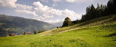 Maison de vacances /en/au Aschau (Tiroler Unterland)ou appartement ou maison de vacances