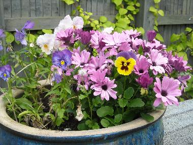 Villa /en/au Djurhamn (Stockholm)ou appartement ou maison de vacances