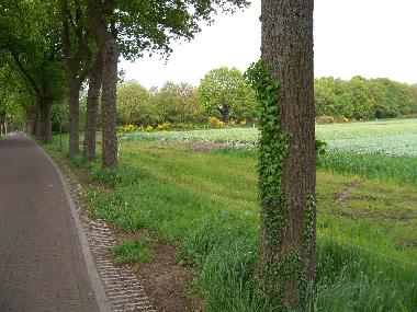 Chalet �/en/au Vledder (Drenthe)ou appartement ou maison de vacances
