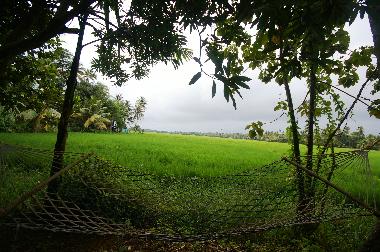 Maison de vacances �/en/au Kottayam (Kerala)ou appartement ou maison de vacances