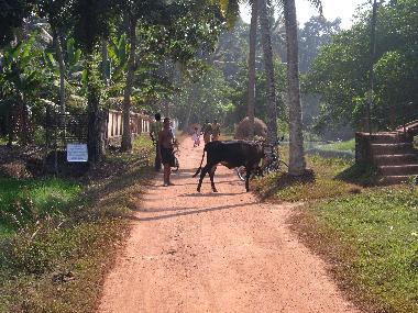 Maison de vacances �/en/au Kottayam (Kerala)ou appartement ou maison de vacances