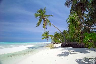 Maison de vacances �/en/au Gan (Laamu)ou appartement ou maison de vacances