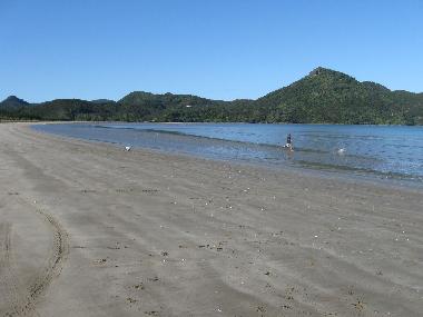 Maison de vacances �/en/au Kennedy Bay (Thames-Coromandel)ou appartement ou maison de vacances