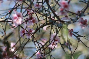 Villa �/en/au Portela de Vila Verde (Oeste)ou appartement ou maison de vacances