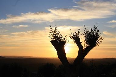 Villa �/en/au Portela de Vila Verde (Oeste)ou appartement ou maison de vacances