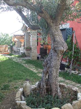 Appartement de vacances �/en/au Lanciano (Chieti)ou appartement ou maison de vacances