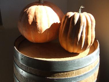 Appartement de vacances �/en/au Lanciano (Chieti)ou appartement ou maison de vacances