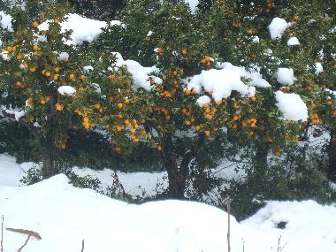 Appartement de vacances �/en/au Lanciano (Chieti)ou appartement ou maison de vacances