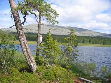 Maison de vacances �/en/au �k�slompolo (Lappi)ou appartement ou maison de vacances