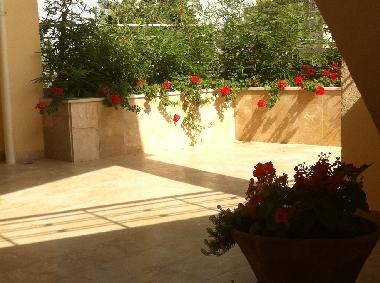 Appartement de vacances �/en/au Salhiyet Saida (Liban-Sud)ou appartement ou maison de vacances