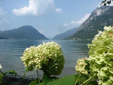 Chalet /en/au Porlezza (Como)ou appartement ou maison de vacances