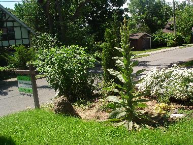 Chambre avec petit d�jeuner �/en/au Niagara Falls (Ontario)ou appartement ou maison de vacances