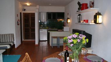Appartement de vacances /en/au albufeira (Algarve)ou appartement ou maison de vacances
