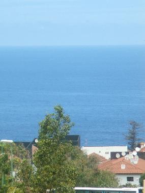 Appartement de vacances /en/au Puerto de la Cruz (Teneriffa)ou appartement ou maison de vacances