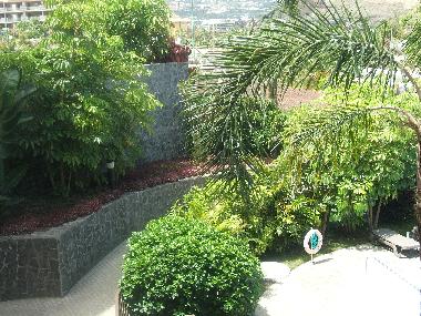 Appartement de vacances /en/au Puerto de la Cruz (Teneriffa)ou appartement ou maison de vacances