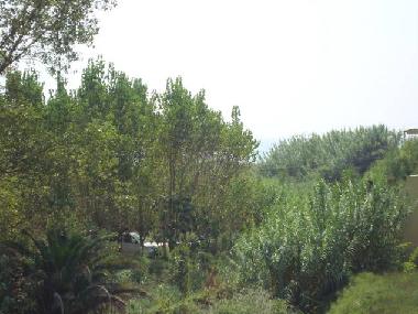 Chambre avec petit djeuner /en/au Gardeno (Kerkyra)ou appartement ou maison de vacances