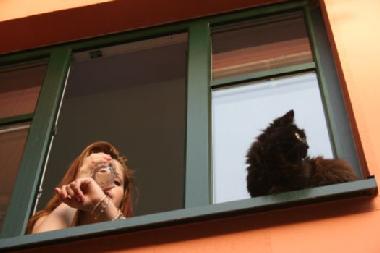 Appartement de vacances �/en/au Waren (M�ritz) (Mecklenburgische Seenplatte)ou appartement ou maison de vacances