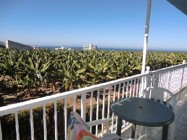 Appartement de vacances /en/au Puerto de la Cruz (Teneriffa)ou appartement ou maison de vacances