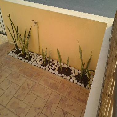 Maison de vacances /en/au LARNACA (Larnaca)ou appartement ou maison de vacances