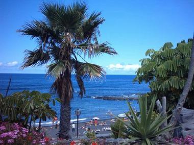 Appartement de vacances /en/au Puerto de la Cruz (Teneriffa)ou appartement ou maison de vacances