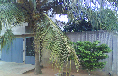 Vue de la devanture de la villa Sester