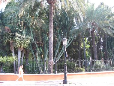 Appartement de vacances �/en/au Marbella (M�laga)ou appartement ou maison de vacances